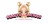 Beautylicious logo